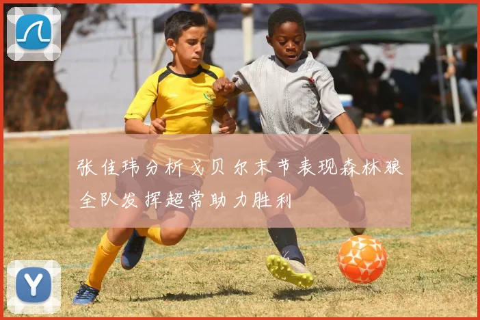 张佳玮分析戈贝尔末节表现森林狼全队发挥超常助力胜利